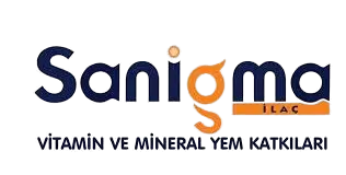 Partner 6
